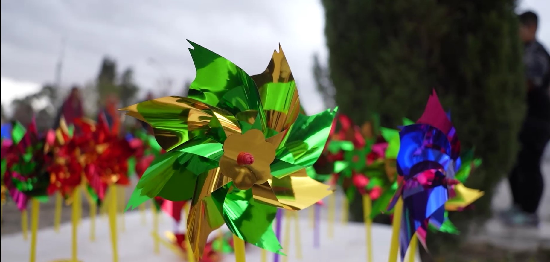 حس خوب-شیراز خوب